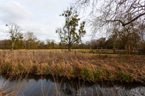 Mottisfont Abbey - 29 March 2015 / River near Mottisfont Abbey