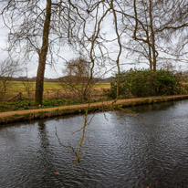 Mottisfont Abbey - 29 March 2015 / River near Mottisfont Abbey