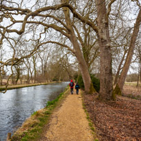 Mottisfont Abbey - 29 March 2015 / River near Mottisfont Abbey