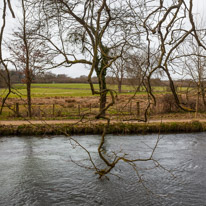 Mottisfont Abbey - 29 March 2015 / River near Mottisfont Abbey