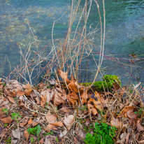 Mottisfont Abbey - 29 March 2015 / River near Mottisfont Abbey