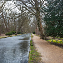 Mottisfont Abbey - 29 March 2015 / River near Mottisfont Abbey