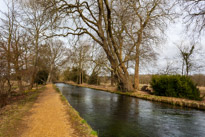 Mottisfont Abbey - 29 March 2015 / River near Mottisfont Abbey
