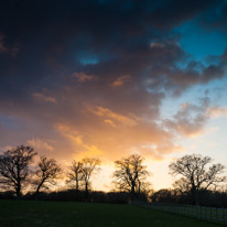 Sunset over Bramshaw