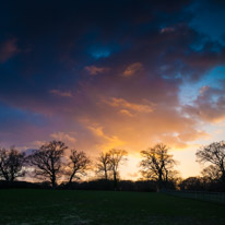 Sunset over Bramshaw