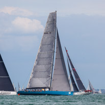 Fastnet - 16 August 2015 / Leopard