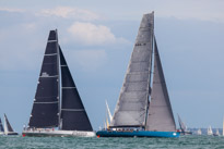 Fastnet - 16 August 2015 / Leopard