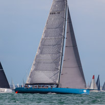 Fastnet - 16 August 2015 / Leopard