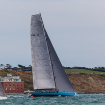 Fastnet - 16 August 2015 / Leopard