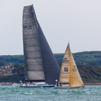 Fastnet - 16 August 2015 / Leopard