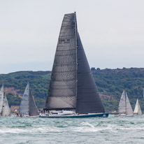 Fastnet - 16 August 2015 / Leopard