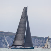 Fastnet - 16 August 2015 / Leopard