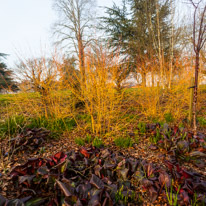 Mottisfont Abbey - 12 March 2016 / Photo taken by Oscar