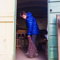 Mottisfont Abbey - 12 March 2016 / Oscar doing some tidying up??