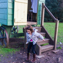 Mottisfont Abbey - 12 March 2016 / Alana jumping