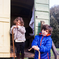 Mottisfont Abbey - 12 March 2016 / Sheperds