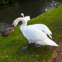 Mottisfont Abbey - 12 March 2016 / Photo taken by Oscar