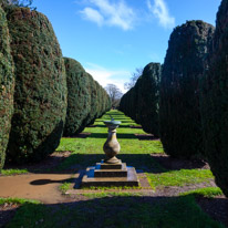 Hinton Ampner - 27 March 2016 / The garden