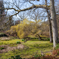 Exbury Garden - 02 April 2016 / Great afternoon in Exbury Garden