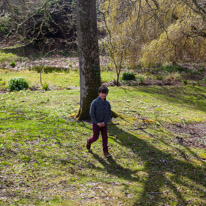 Exbury Garden - 02 April 2016 / Oscar roaming around