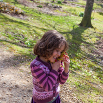 Exbury Garden - 02 April 2016 / Alana and her bee