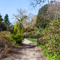 Exbury Garden - 02 April 2016 / Exbury Garden