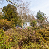 Exbury Garden - 02 April 2016 / Exbury Garden