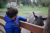 Manor Farm Country Park - 04 April 2016 / Oscar