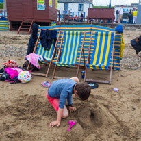 Swanage - 07 May 2016 / Oscar digging and digging