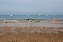 Swanage - 07 May 2016 / Oscar bravely not going to the sea