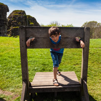 Corfe Castle - 08 May 2016 / Oscar