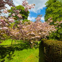 Hinton Ampner - 15 May 2016 / Hinton Ampner