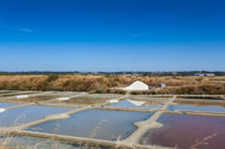 Guerande - 12 August 2016 / Salt marshes near Guerande