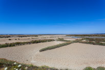 Guerande - 12 August 2016 / Salt marshes near Guerande