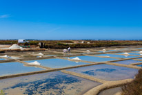 Guerande - 12 August 2016 / Salt marshes near Guerande