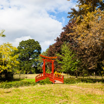 Henley -on-Thames - 09 October 2016 / Greys Court