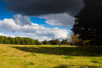 Henley -on-Thames - 09 October 2016 / Greys Court