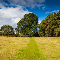 Henley -on-Thames - 09 October 2016 / Greys Court