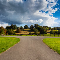 Henley -on-Thames - 09 October 2016 / Greys Court