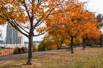 Baltimore - 06 November 2016 / Around Baltimore harbour