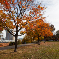 Baltimore - 06 November 2016 / Around Baltimore harbour