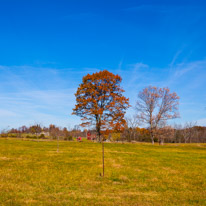 10 November 2016 - Gettysburg / Gettysbirg