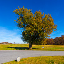 10 November 2016 - Gettysburg / Gettysbirg