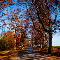 10 November 2016 - Gettysburg / Gettysbirg