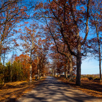 10 November 2016 - Gettysburg / Gettysbirg