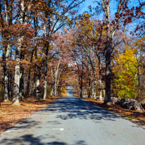 10 November 2016 - Gettysburg / Gettysbirg