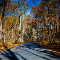 10 November 2016 - Gettysburg / Gettysbirg