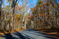 10 November 2016 - Gettysburg / Gettysbirg