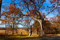 10 November 2016 - Gettysburg / Gettysbirg