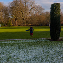 Mottisfont Abbey - 21 January 2017 / Alana jumping like mad